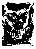 David's Tarot